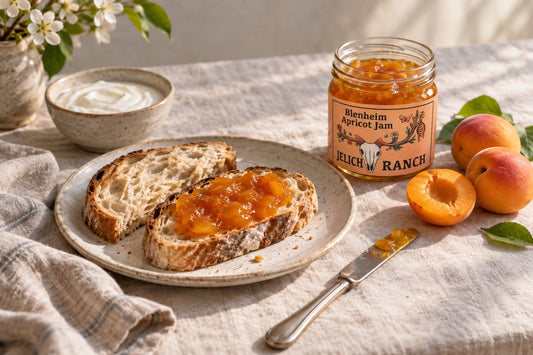 Jelich Ranch apricot preserves serving illustration.